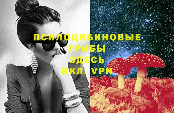 МДМА Белокуриха