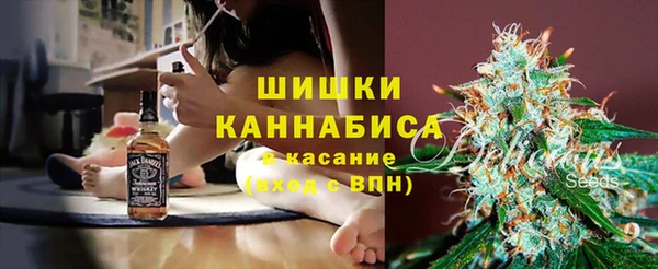 ПСИЛОЦИБИНОВЫЕ ГРИБЫ Белоозёрский