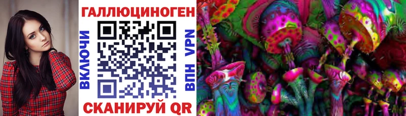 omg как зайти  Реутов  Псилоцибиновые грибы прущие грибы 